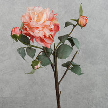 Load image into Gallery viewer, Peony 4 Heads Coral Red 58cm
