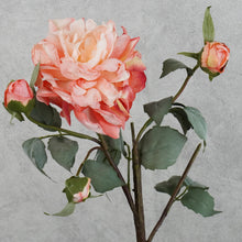 Load image into Gallery viewer, Peony 4 Heads Coral Red 58cm
