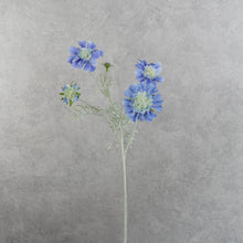 Load image into Gallery viewer, Scabiosa Blue 59cm
