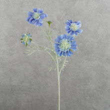 Load image into Gallery viewer, Scabiosa Blue 59cm

