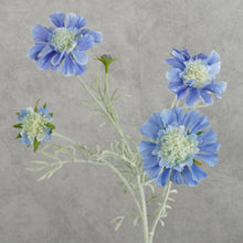 Load image into Gallery viewer, Scabiosa Blue 59cm
