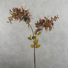 Load image into Gallery viewer, Erythrina Purple 79cm
