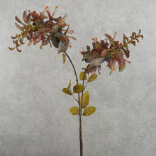 Load image into Gallery viewer, Erythrina Purple 79cm
