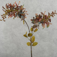 Load image into Gallery viewer, Erythrina Purple 79cm
