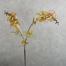 Load image into Gallery viewer, Erythrina Green 79cm
