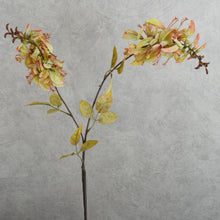 Load image into Gallery viewer, Erythrina Green 79cm
