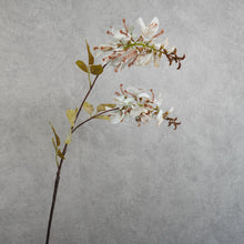 Load image into Gallery viewer, Erythrina Cream 79cm
