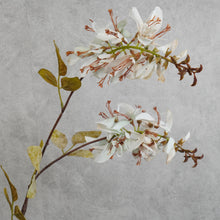 Load image into Gallery viewer, Erythrina Cream 79cm
