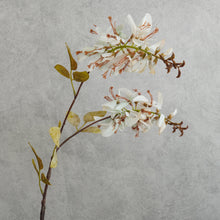 Load image into Gallery viewer, Erythrina Cream 79cm
