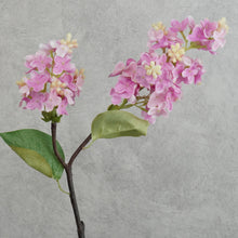 Load image into Gallery viewer, Lilac Pink 38cm

