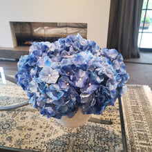 Load image into Gallery viewer, Blue Rest
