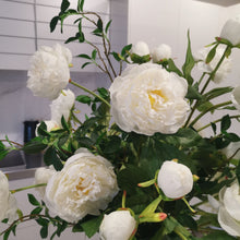 Load image into Gallery viewer, Maison Peony
