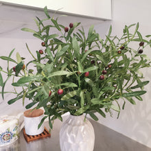 Load image into Gallery viewer, Echo of Olive
