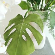 Load image into Gallery viewer, White Cloud
