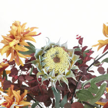 Load image into Gallery viewer, Blushed Ochre
