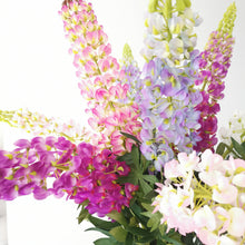 Load image into Gallery viewer, Lupine Lavish
