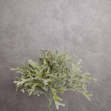 Load image into Gallery viewer, Darcie Stag Horn Leaf Grey Green 29cm
