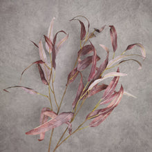 Load image into Gallery viewer, Eucalyptus Rust Red 104cm
