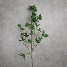 Load image into Gallery viewer, Tea Leaf Branch 112cm
