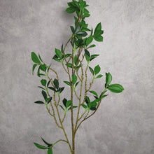 Load image into Gallery viewer, Tea Leaf Branch 112cm
