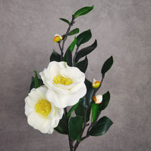 Load image into Gallery viewer, Camellia White 58cm
