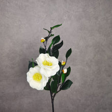 Load image into Gallery viewer, Camellia White 58cm

