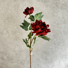 Load image into Gallery viewer, Dahlia Burnt Red 2 heads
