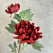 Load image into Gallery viewer, Dahlia Burnt Red 2 heads
