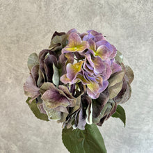 Load image into Gallery viewer, Hydrangea Purple
