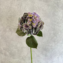 Load image into Gallery viewer, Hydrangea Purple
