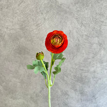 Load image into Gallery viewer, Ranunculus Orange
