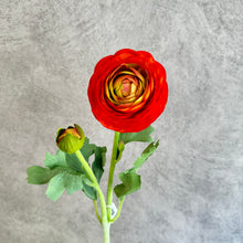 Load image into Gallery viewer, Ranunculus Orange

