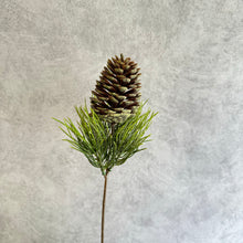 Load image into Gallery viewer, Pinecone001
