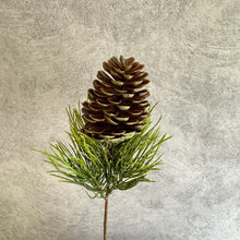Load image into Gallery viewer, Pinecone001
