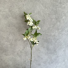 Load image into Gallery viewer, Berry White
