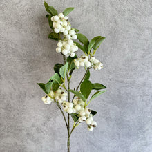 Load image into Gallery viewer, Berry White
