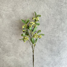 Load image into Gallery viewer, Berry Green
