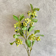 Load image into Gallery viewer, Berry Green
