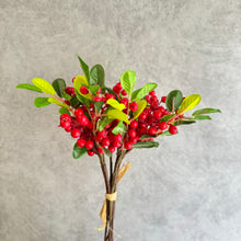 Load image into Gallery viewer, Berry Bunch Red
