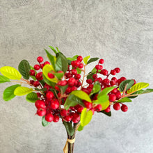 Load image into Gallery viewer, Berry Bunch Red
