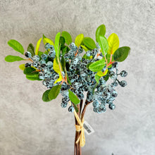 Load image into Gallery viewer, Berry Bunch Blue
