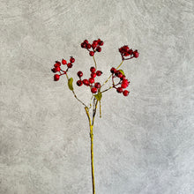 Load image into Gallery viewer, Berry104
