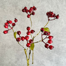 Load image into Gallery viewer, Berry104
