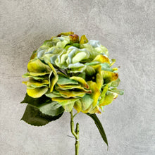 Load image into Gallery viewer, Hydrangea Green
