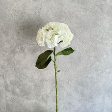 Load image into Gallery viewer, Hydrangea White
