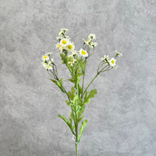 Load image into Gallery viewer, Daisy Chamomile Artificial Silk Flower 54cm Stem White DAISY012
