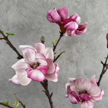 Load image into Gallery viewer, DRIFT MAGNOLIA
