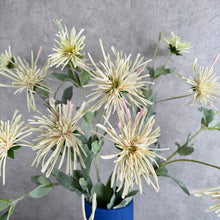 Load image into Gallery viewer, CHRYSANTHEMUM SPIDER BLOOM
