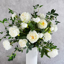 Load image into Gallery viewer, Maison Peony
