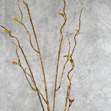 Load image into Gallery viewer, Twisted Willow Brown
